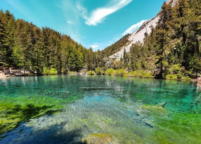 Pineta Nest Appartamento Bardonecchia