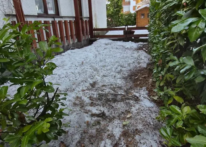 Pineta Nest Lejlighed Bardonecchia